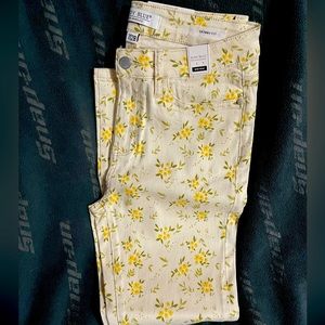 Brand new Judy Blues !